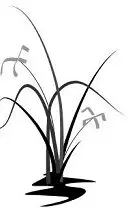 Expert Landscape Design & Construction in Chicago’s Western Suburbs