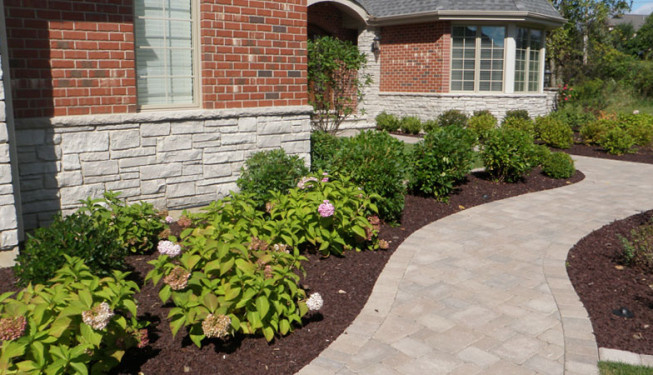 Plantings in front of a brick house