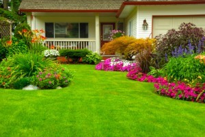 The Landscaping Investment